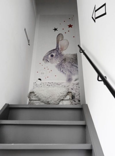 rabbit on wall